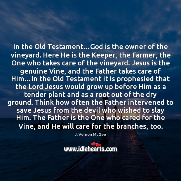 In the Old Testament…God is the owner of the vineyard. Here Father Quotes Image