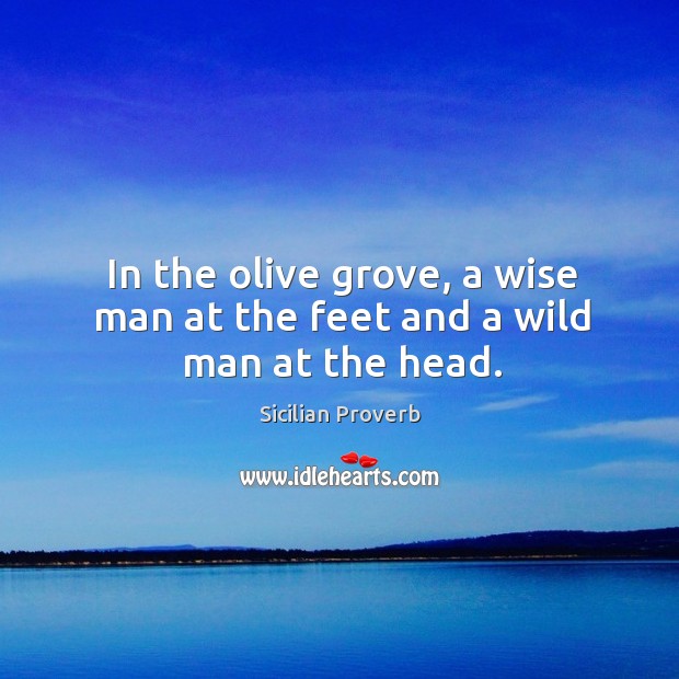 In the olive grove, a wise man at the feet and a wild man at the head. Sicilian Proverbs Image