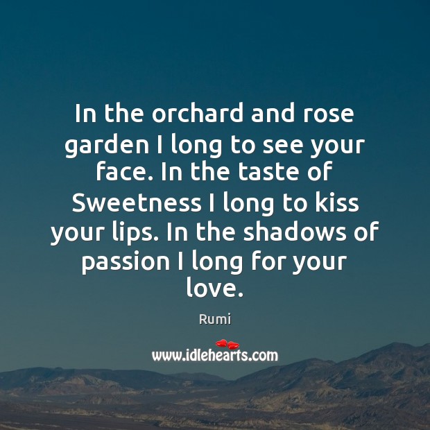 In the orchard and rose garden I long to see your face. Image