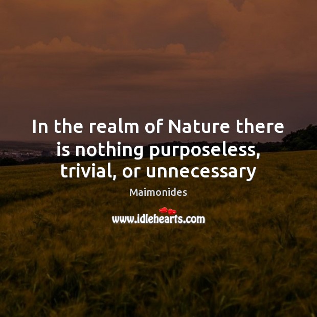 In the realm of Nature there is nothing purposeless, trivial, or unnecessary Maimonides Picture Quote