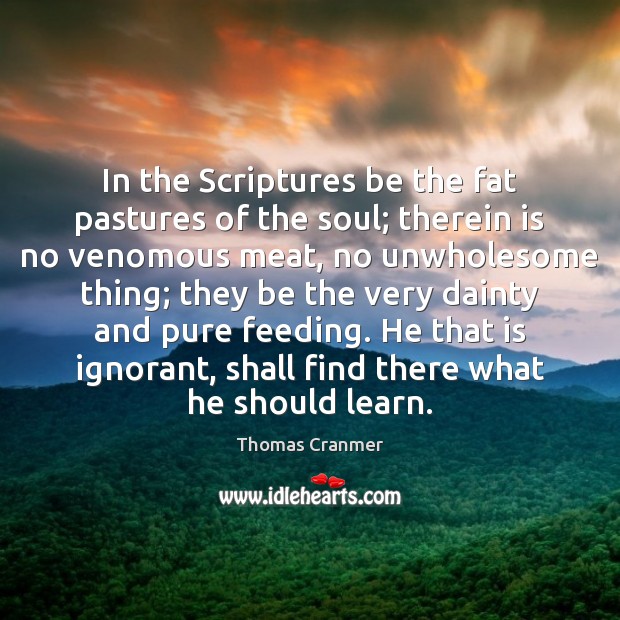 In the Scriptures be the fat pastures of the soul; therein is 