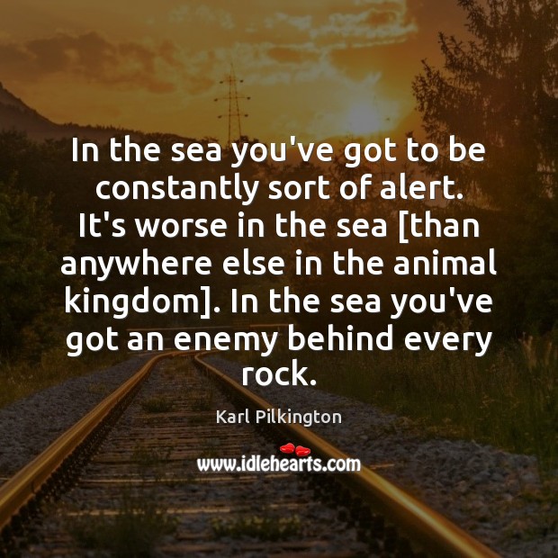 In the sea you’ve got to be constantly sort of alert. It’s Enemy Quotes Image