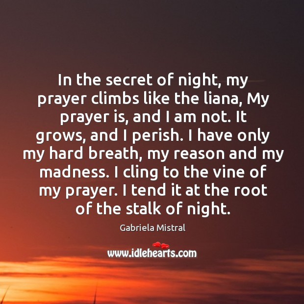 In the secret of night, my prayer climbs like the liana, My Image