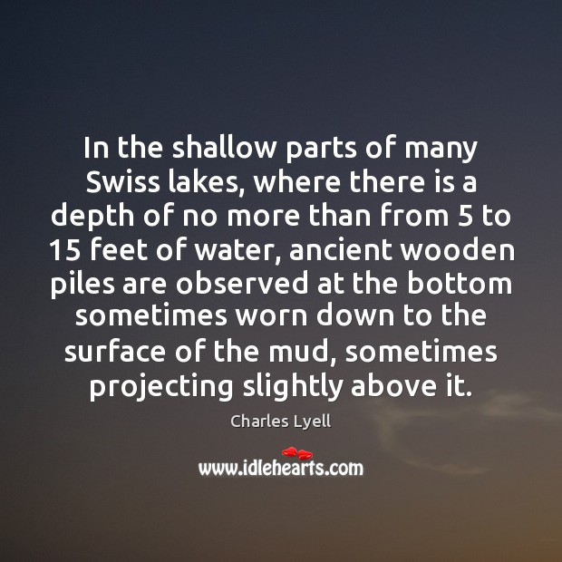 In the shallow parts of many Swiss lakes, where there is a Image