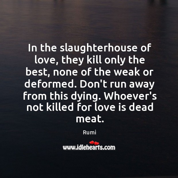 In the slaughterhouse of love, they kill only the best, none of Image