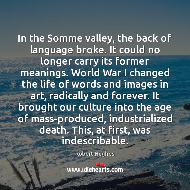 In the Somme valley, the back of language broke. It could no Robert Hughes Picture Quote