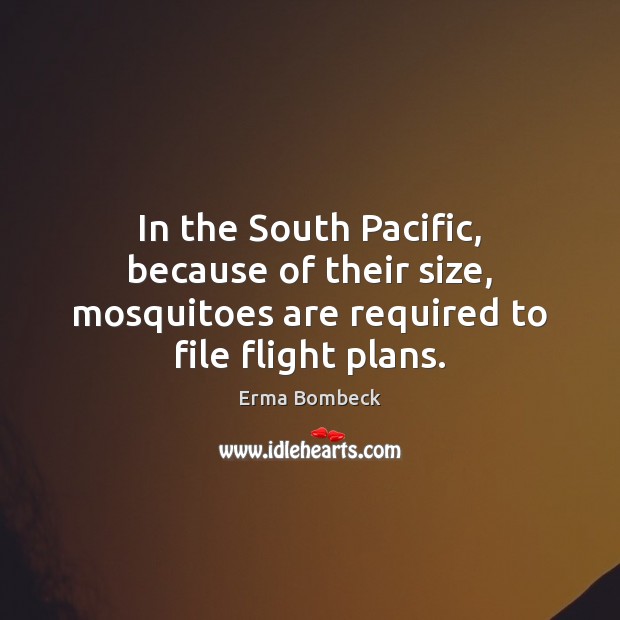 In the South Pacific, because of their size, mosquitoes are required to file flight plans. Erma Bombeck Picture Quote