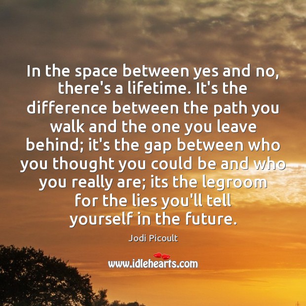 In the space between yes and no, there’s a lifetime. It’s the Jodi Picoult Picture Quote