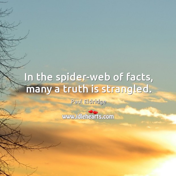 In the spider-web of facts, many a truth is strangled. Image