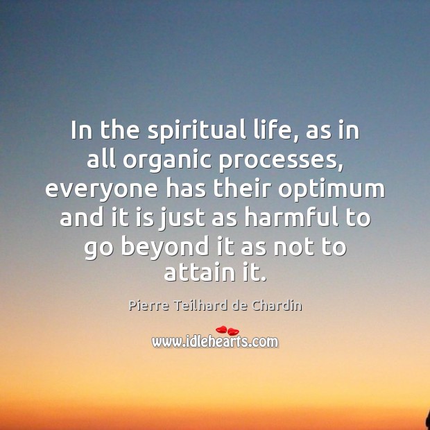 In the spiritual life, as in all organic processes, everyone has their Pierre Teilhard de Chardin Picture Quote