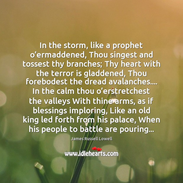 In the storm, like a prophet o’ermaddened, Thou singest and tossest James Russell Lowell Picture Quote