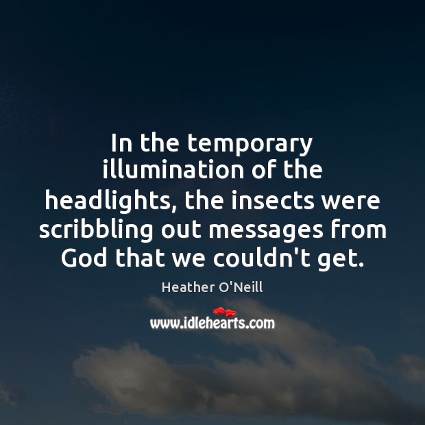 In the temporary illumination of the headlights, the insects were scribbling out Heather O’Neill Picture Quote