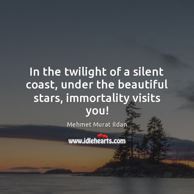 In the twilight of a silent coast, under the beautiful stars, immortality visits you! Mehmet Murat Ildan Picture Quote