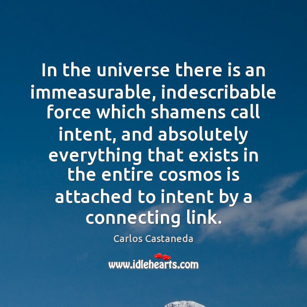 In the universe there is an immeasurable, indescribable force which shamens call Carlos Castaneda Picture Quote
