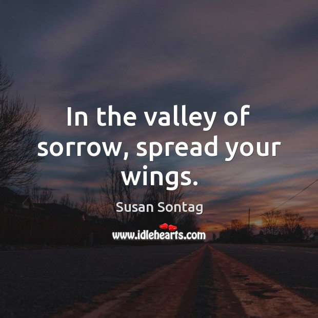 In the valley of sorrow, spread your wings. Susan Sontag Picture Quote