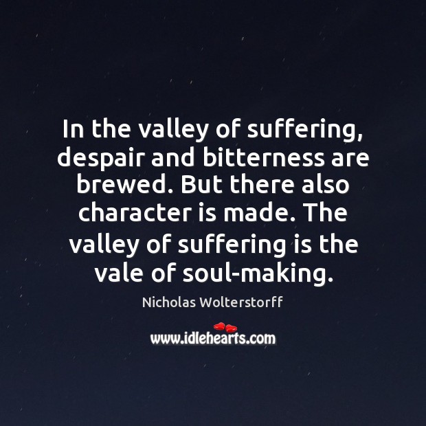In the valley of suffering, despair and bitterness are brewed. But there Nicholas Wolterstorff Picture Quote