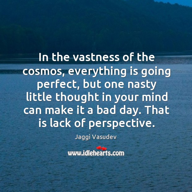 In the vastness of the cosmos, everything is going perfect, but one Jaggi Vasudev Picture Quote