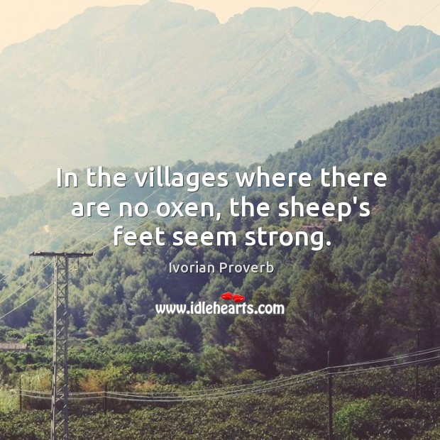In the villages where there are no oxen, the sheep’s feet seem strong. Ivorian Proverbs Image