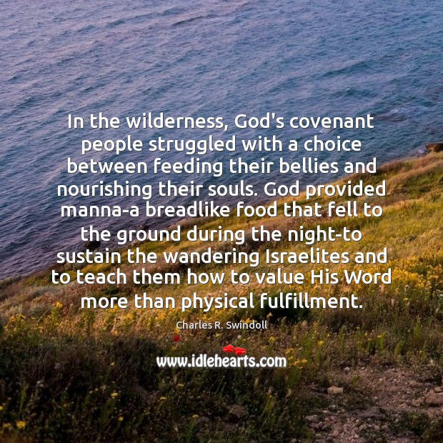 In the wilderness, God’s covenant people struggled with a choice between feeding Charles R. Swindoll Picture Quote