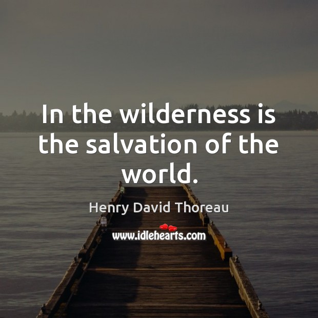 In the wilderness is the salvation of the world. Henry David Thoreau Picture Quote