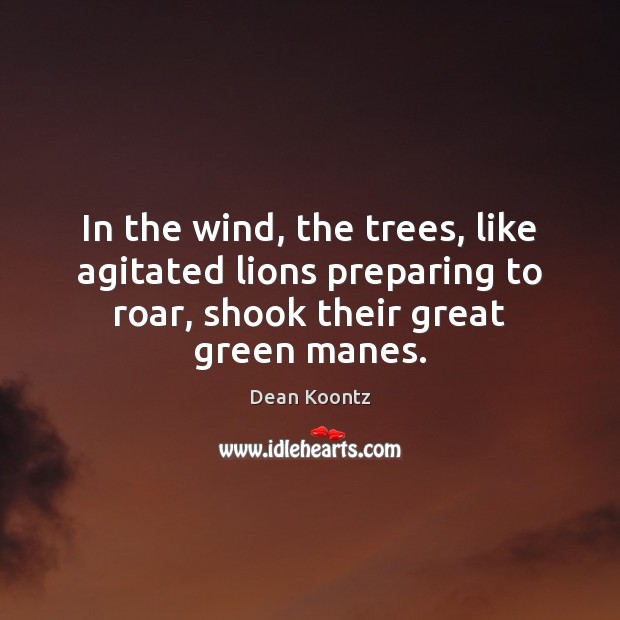 In the wind, the trees, like agitated lions preparing to roar, shook Dean Koontz Picture Quote