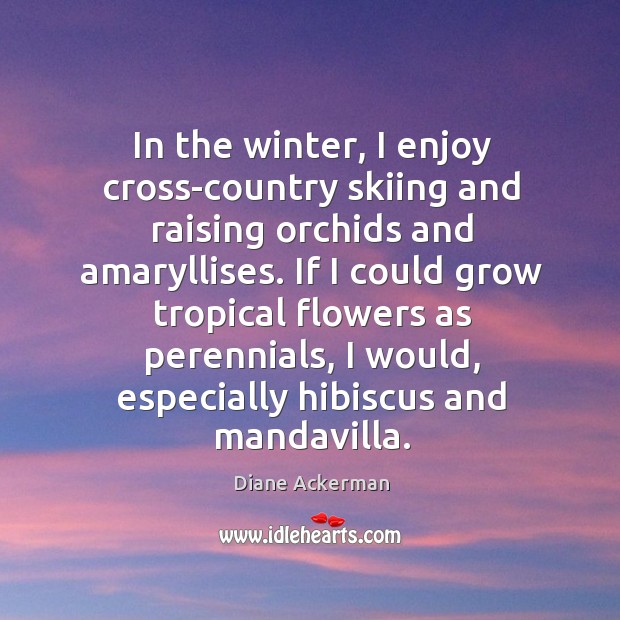 In the winter, I enjoy cross-country skiing and raising orchids and amaryllises. Diane Ackerman Picture Quote