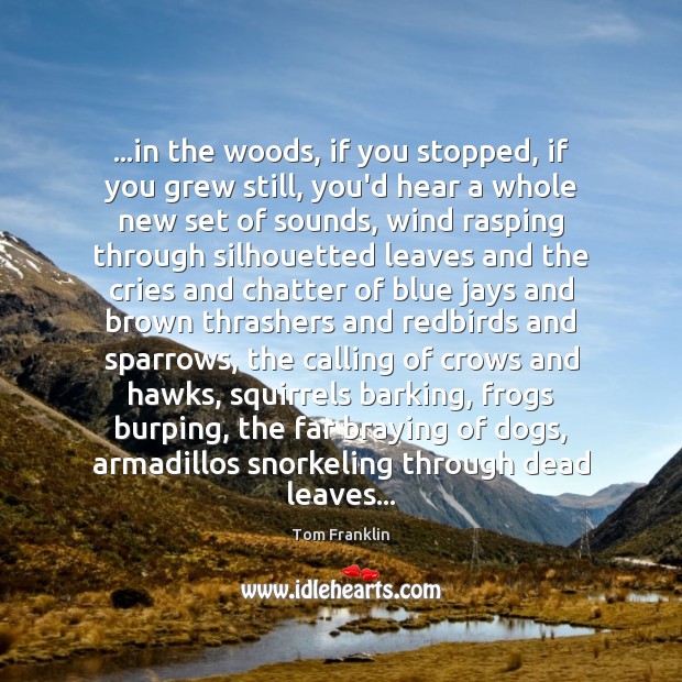 …in the woods, if you stopped, if you grew still, you’d hear Tom Franklin Picture Quote