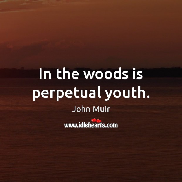 In the woods is perpetual youth. John Muir Picture Quote