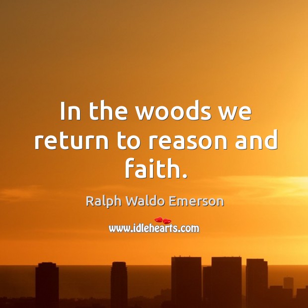 In the woods we return to reason and faith. Image