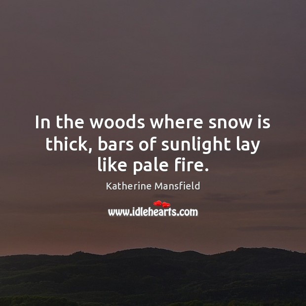 In the woods where snow is thick, bars of sunlight lay like pale fire. Image