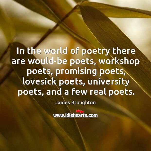 In the world of poetry there are would-be poets, workshop poets Image