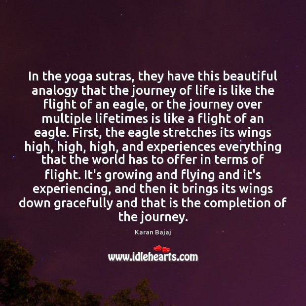In the yoga sutras, they have this beautiful analogy that the journey Karan Bajaj Picture Quote