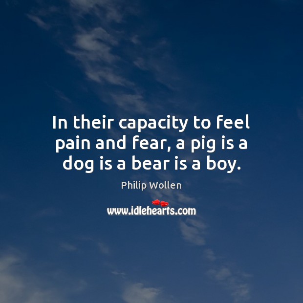In their capacity to feel pain and fear, a pig is a dog is a bear is a boy. Philip Wollen Picture Quote