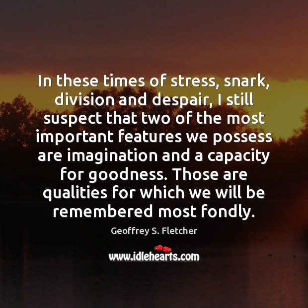 In these times of stress, snark, division and despair, I still suspect Geoffrey S. Fletcher Picture Quote