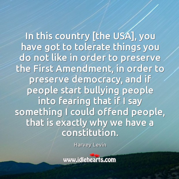 In this country [the USA], you have got to tolerate things you Harvey Levin Picture Quote