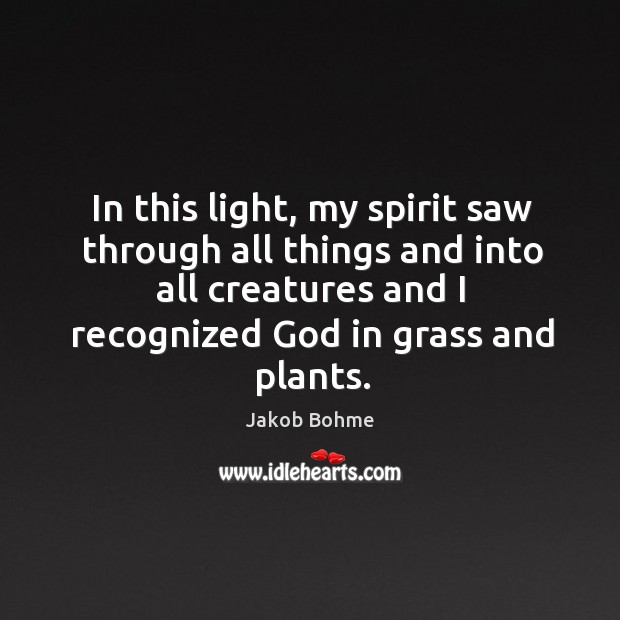 In this light, my spirit saw through all things and into all Jakob Bohme Picture Quote