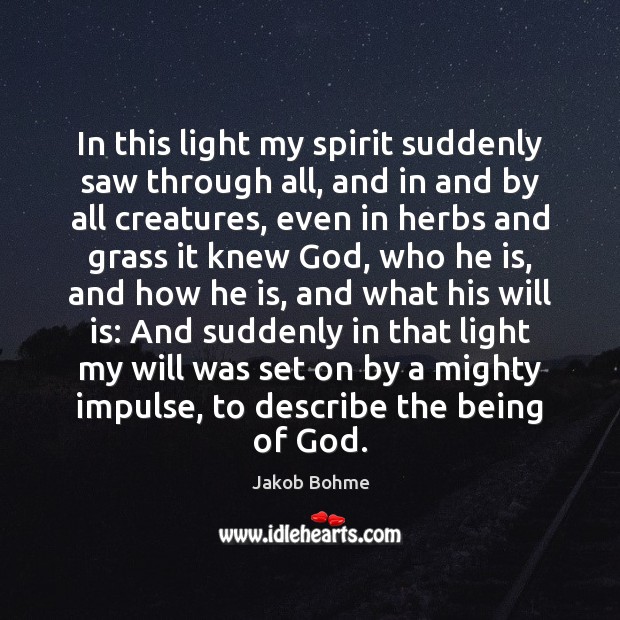 In this light my spirit suddenly saw through all, and in and Jakob Bohme Picture Quote