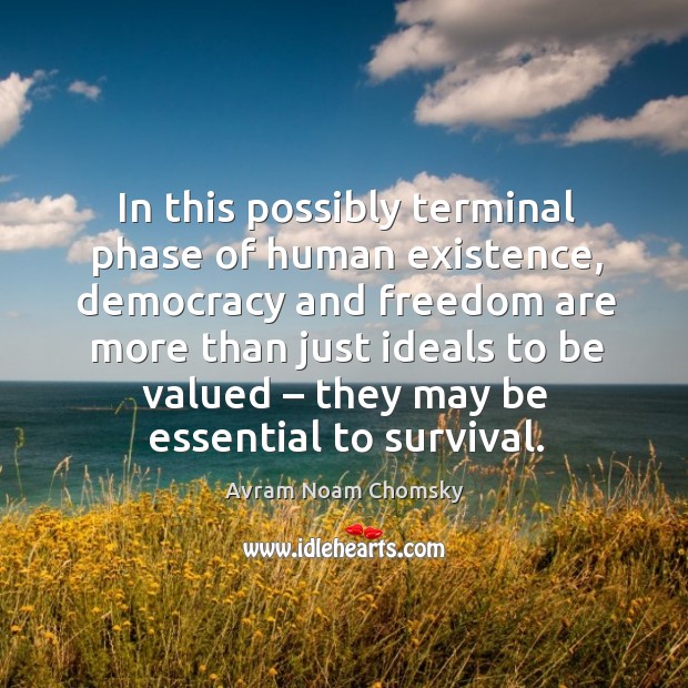 In this possibly terminal phase of human existence Avram Noam Chomsky Picture Quote