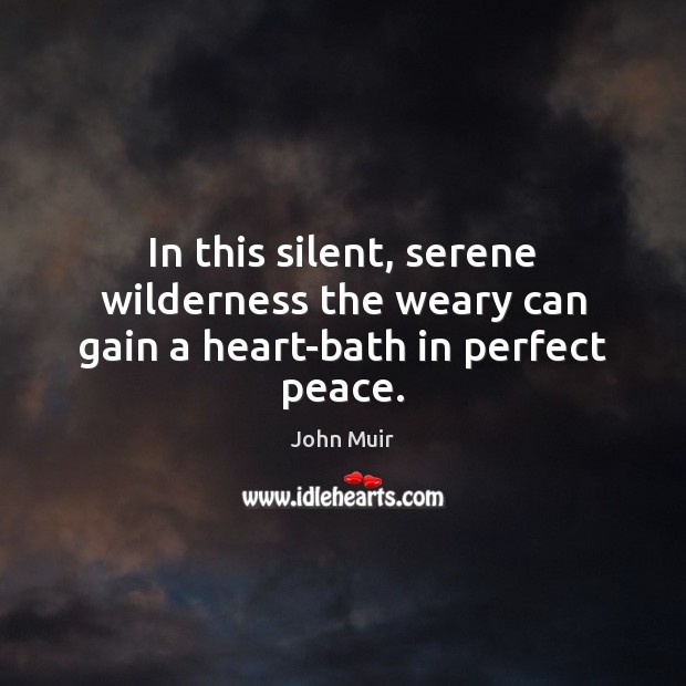 In this silent, serene wilderness the weary can gain a heart-bath in perfect peace. John Muir Picture Quote