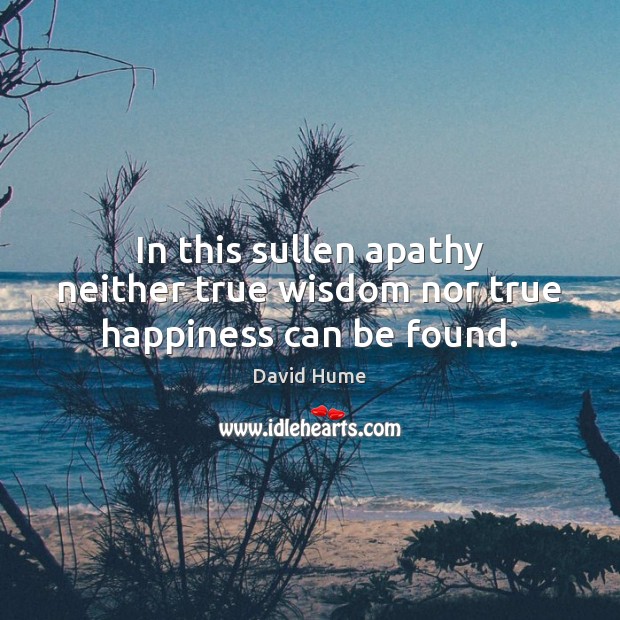 In this sullen apathy neither true wisdom nor true happiness can be found. David Hume Picture Quote