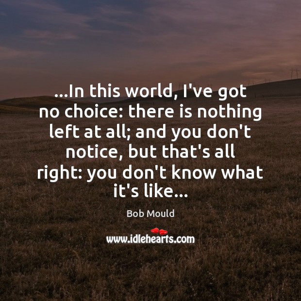 …In this world, I’ve got no choice: there is nothing left at Bob Mould Picture Quote
