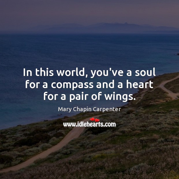 In this world, you’ve a soul for a compass and a heart for a pair of wings. Mary Chapin Carpenter Picture Quote