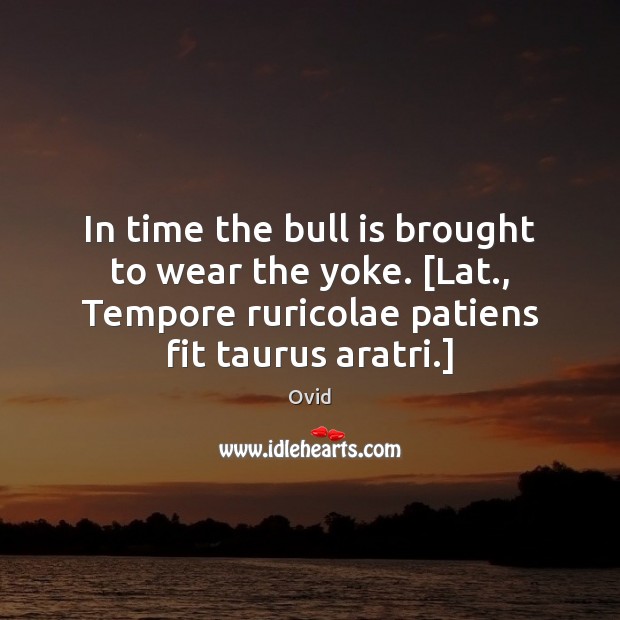 In time the bull is brought to wear the yoke. [Lat., Tempore Image