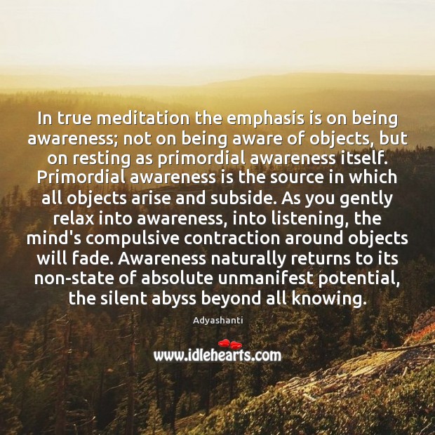 In true meditation the emphasis is on being awareness; not on being Adyashanti Picture Quote