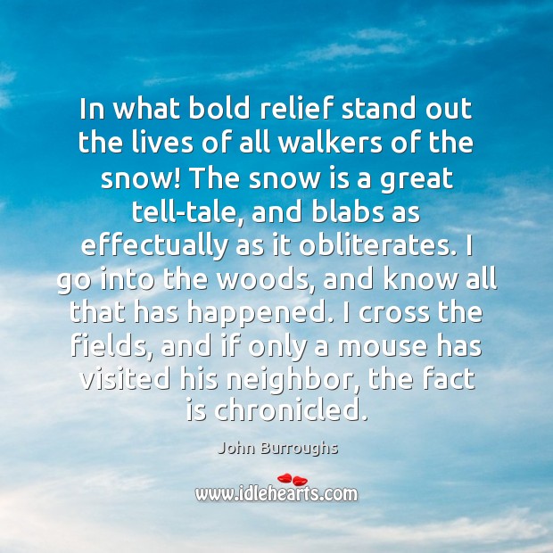 In what bold relief stand out the lives of all walkers of John Burroughs Picture Quote