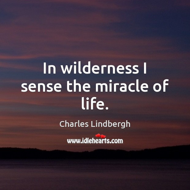 In wilderness I sense the miracle of life. Charles Lindbergh Picture Quote