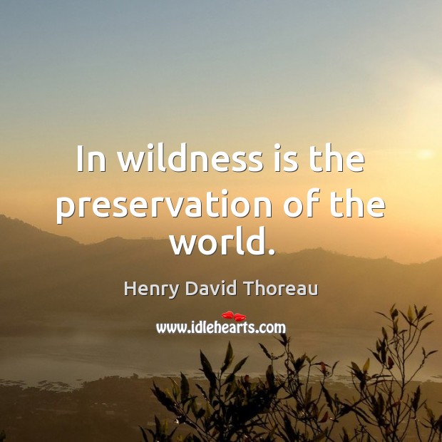 In wildness is the preservation of the world. Image