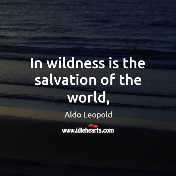 In wildness is the salvation of the world, Aldo Leopold Picture Quote