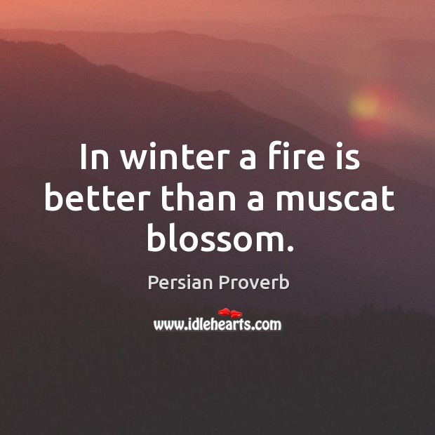In winter a fire is better than a muscat blossom. Persian Proverbs Image