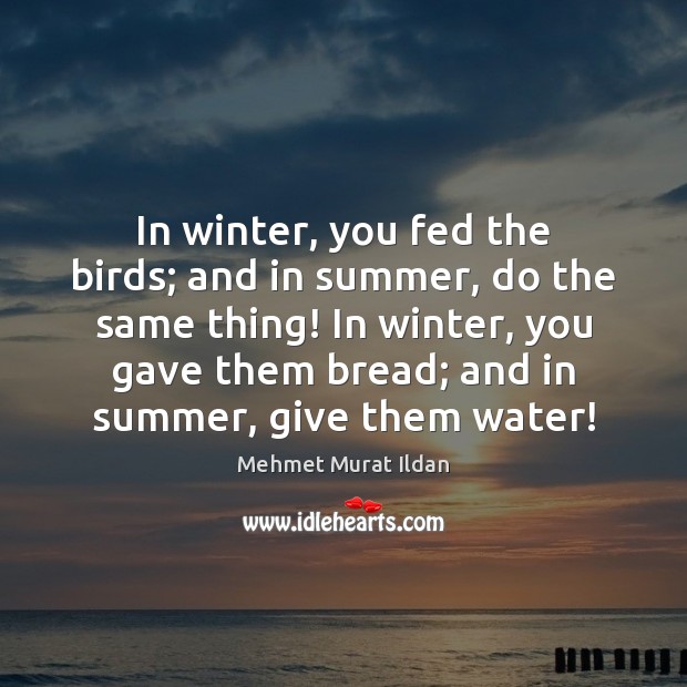 In winter, you fed the birds; and in summer, do the same Image
